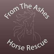 From The Ashes Horse Rescue and Rehabilitation